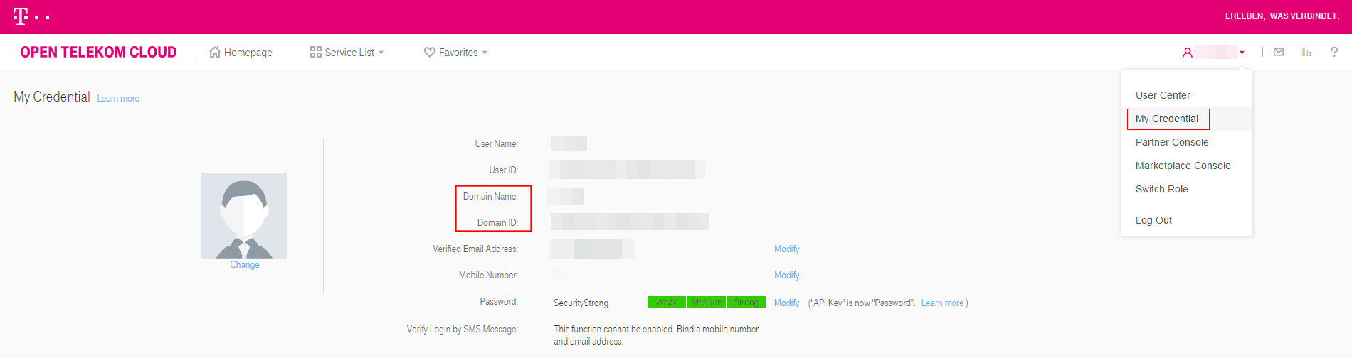 **Figure 2** Viewing the domain name and domain ID