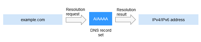 **Figure 1** Private domain name resolution