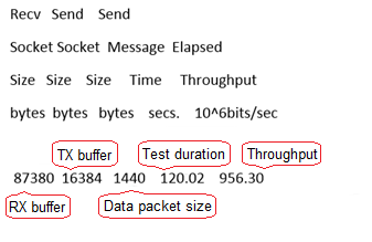 **Figure 1** Output of the netperf process on one TX end