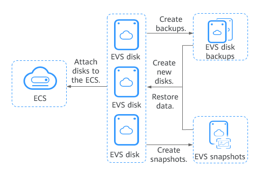 **Figure 1** EVS architecture