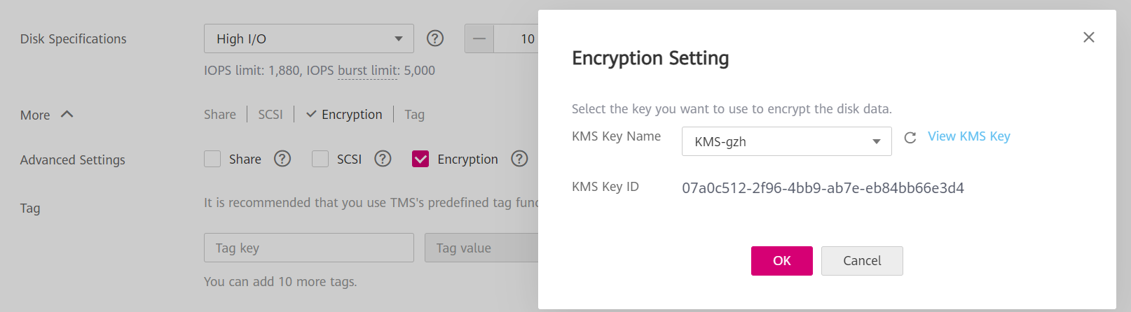 **Figure 2** Encrypted disks