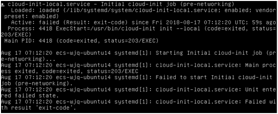 **Figure 3** Checking Cloud-Init status