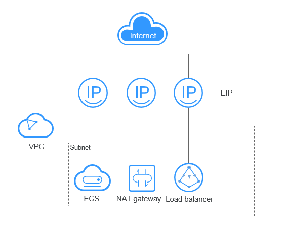 **Figure 1** Accessing the Internet using an EIP