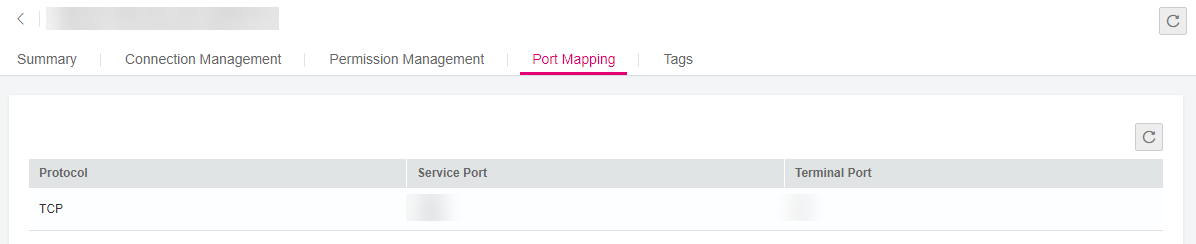 **Figure 1** Port Mapping